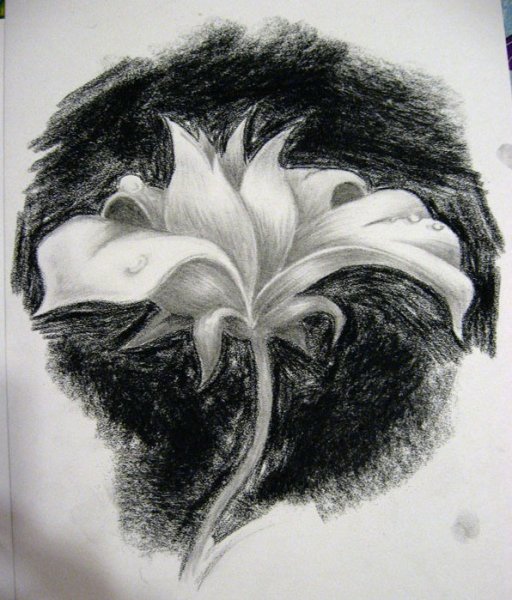 Рисунки углем