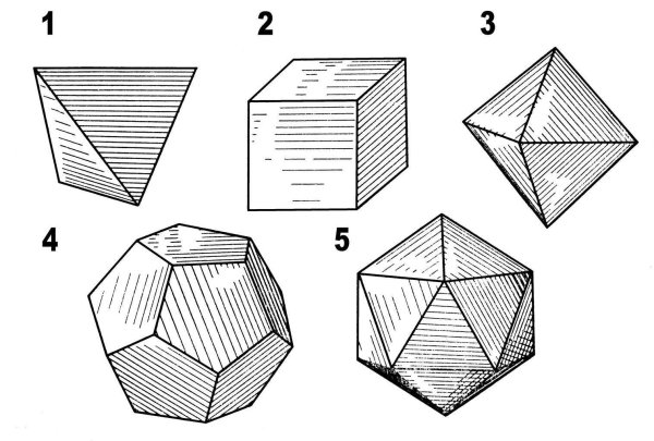 Многогранник Полиэдр
