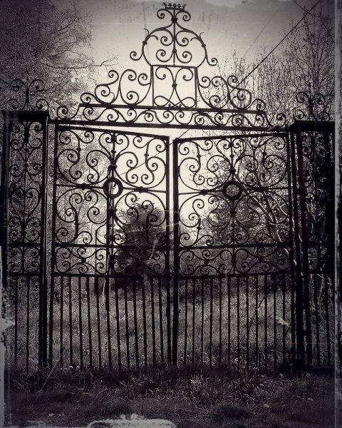 Ворота на кладбище