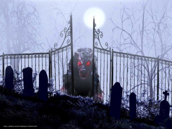 Ворота на кладбище