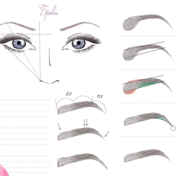 Построение формы бровей схема