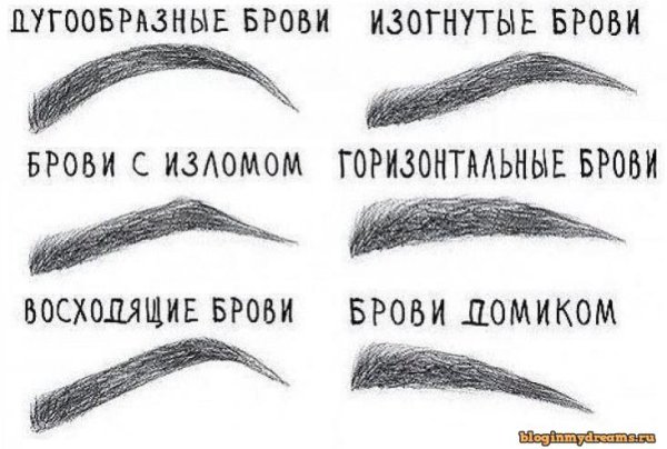 Брови рисунок карандашом для начинающих