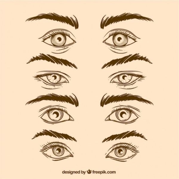 Брови в разных стилях рисования