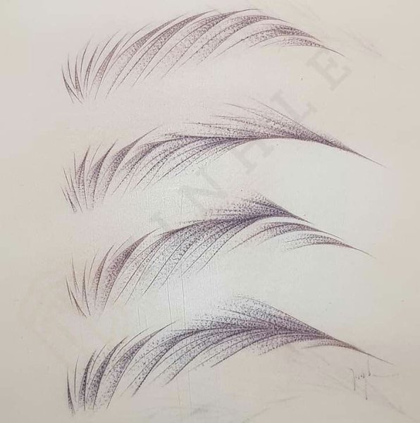 Model Brow Sketch