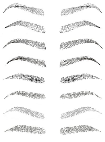 Эскиз бровей