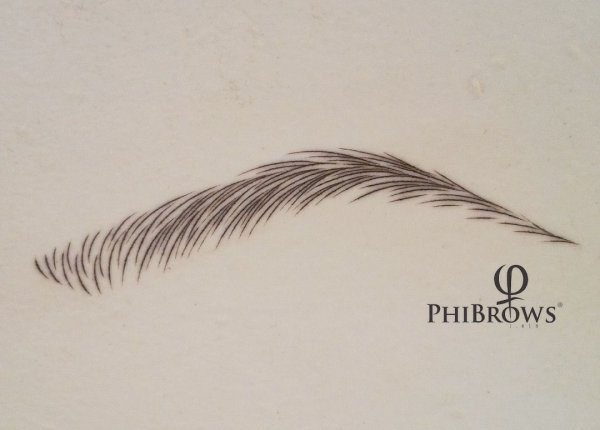 Волосковая техника бровей перманентного макияжа схема