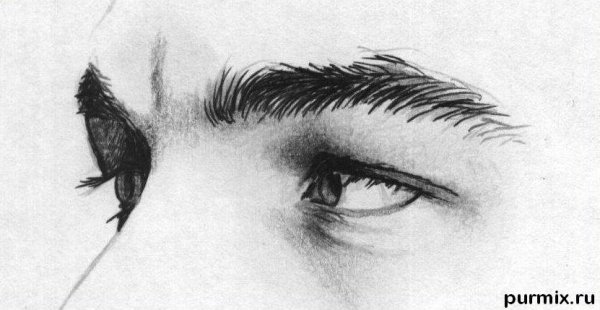 Мужские брови карандашом