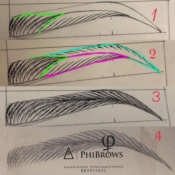 Волосковая техника бровей эскиз