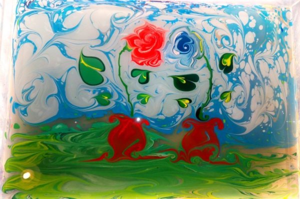 Медуза эбру