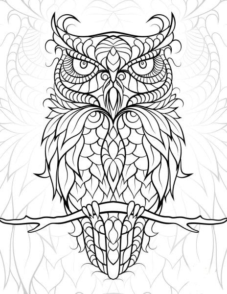 Раскраска антистресс