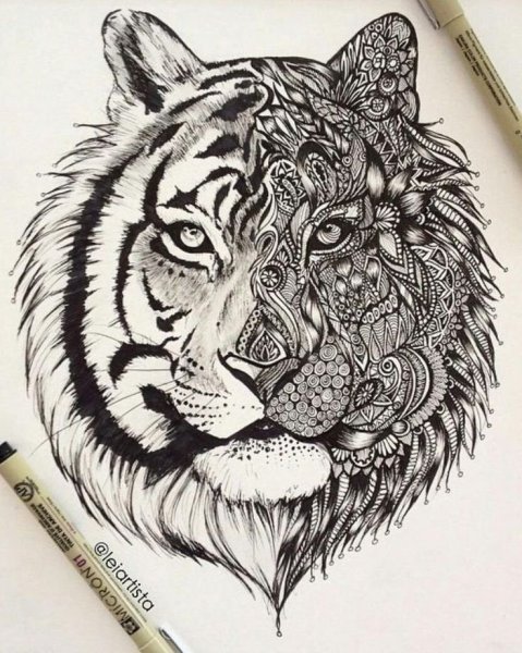 Зентангл тигр