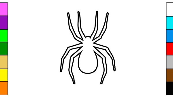 Паук срисовать легко