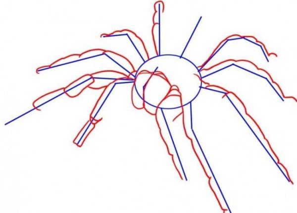 Паук для рисования