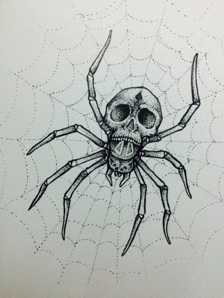 Рисунки пауков карандашом