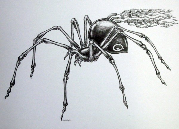 Паук срисовать легко