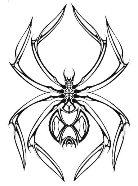 Паук Каракурт карандашом