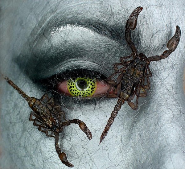 Таракан рисунок