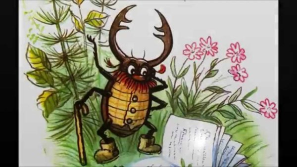 Танцующие жуки