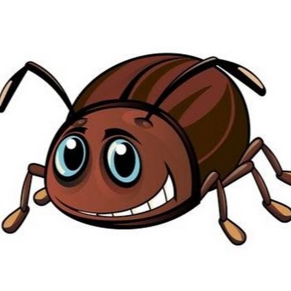 Жесткокрылые рисунок