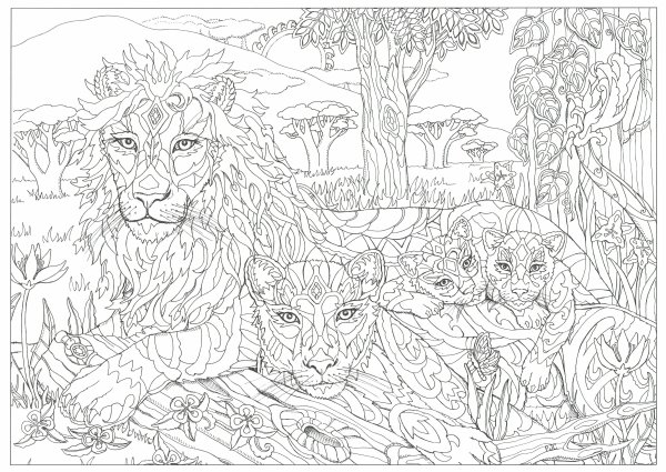 Раскраска антистресс лиса