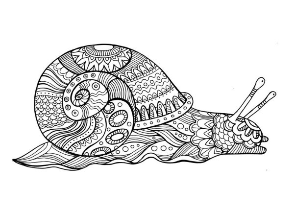 Дудлинг улитка