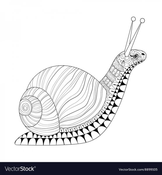 Раскраска антистресс улитка