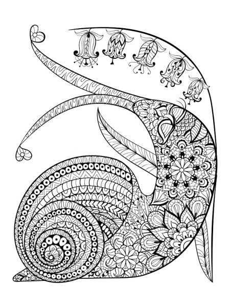 Раскраска антистресс улитка