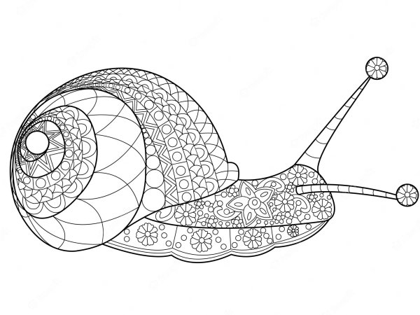 Раскраска антистресс улитка