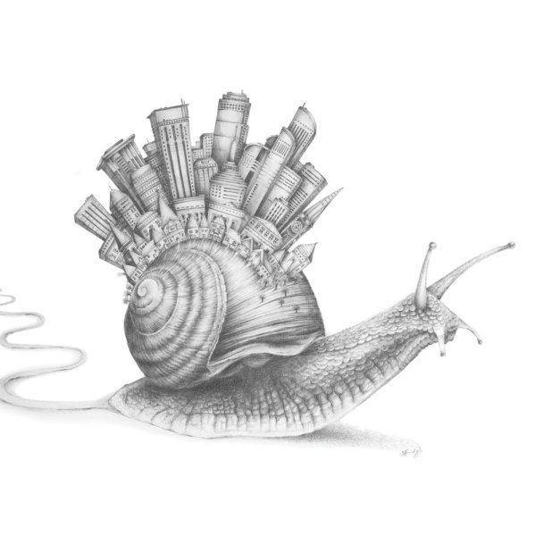 Улитка рисунок карандашом