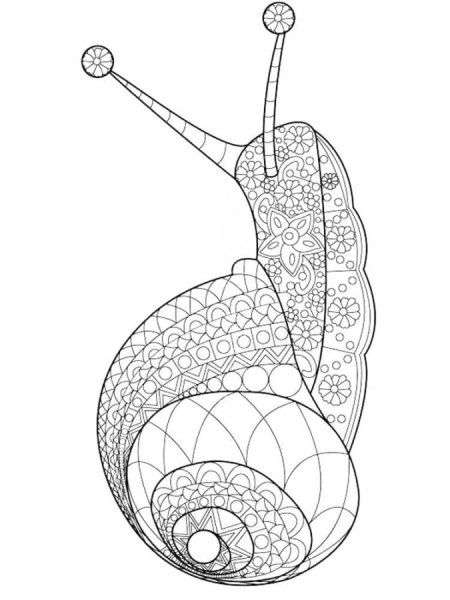 Улитка раскраска