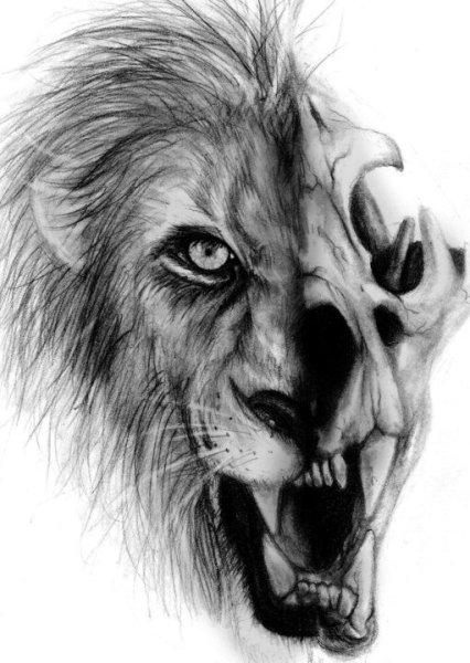 Череп Льва тату