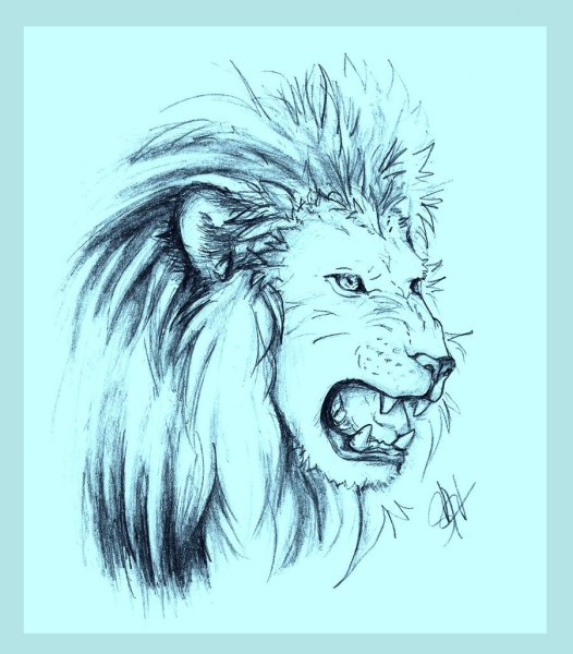 Лев рисунок ручкой