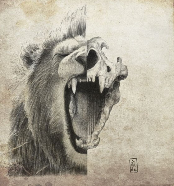 Медведь с открытой пастью эскиз