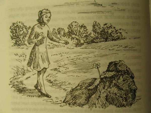 Андрей Платонович Платонов неизвестный цветок