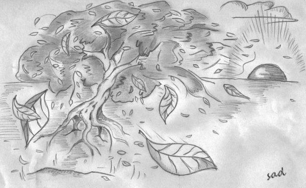 Осенние зарисовки карандашом