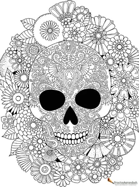 Раскраска череп