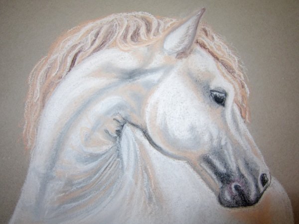 Техники рисования лошади