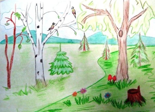 Лес рисунок легкий