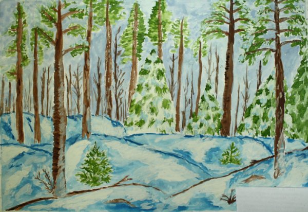 Красота леса рисунок