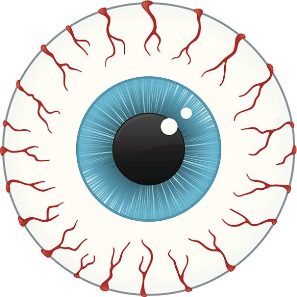 Нарисовать глазное яблоко