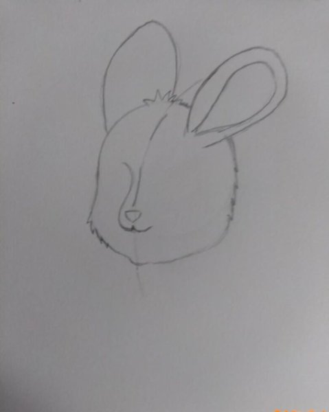 Рисунок зайца не сложный