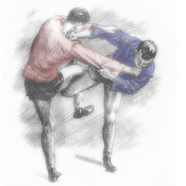 Боевое самбо мотивация