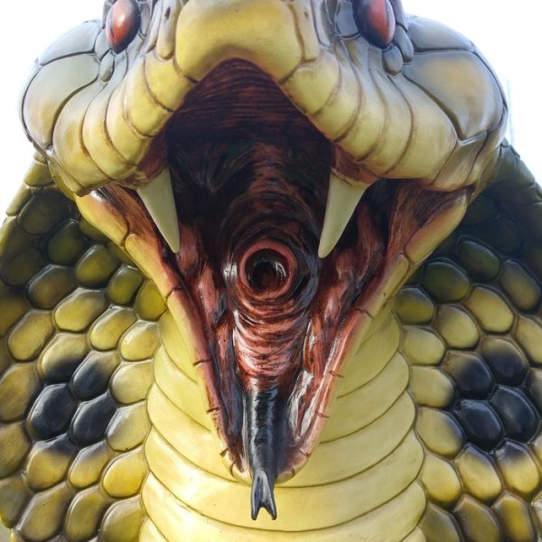 Королевская Кобра страшная