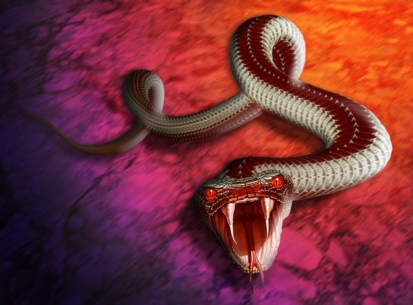 Королевская Кобра двухголовая