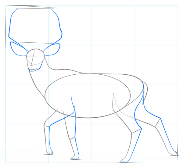 Как рисовать оленя поэтапно