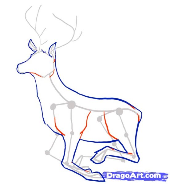 Олень линиями рисунок поэтапно