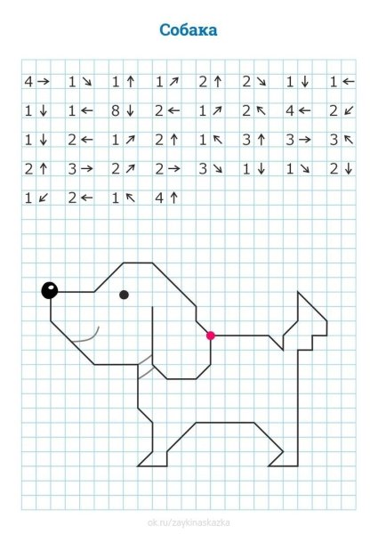 Графический диктант попугай по клеточкам для дошкольников