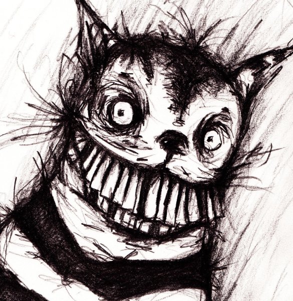 Чешский кот страшный