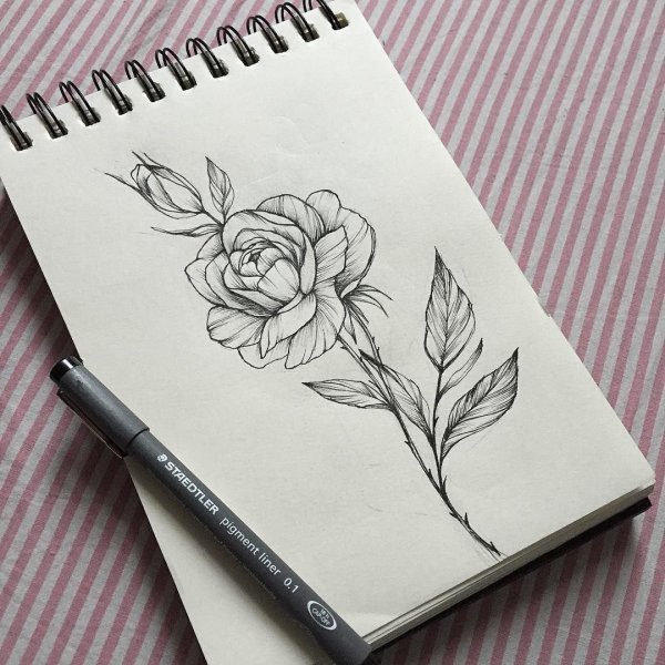 Лёгкие рисунки для скечь бука