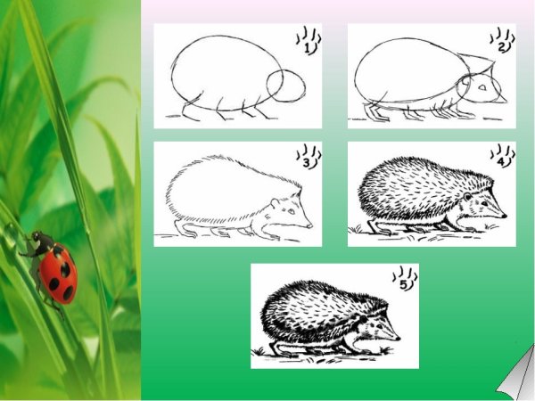 Иллюстрация к сказке страшный рассказ